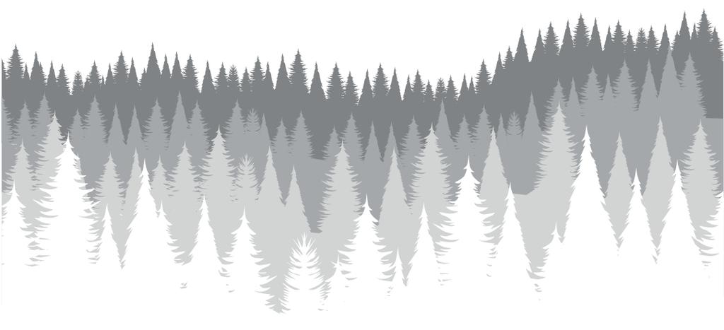 1 / 8 Metsäarvio Pyy, Mäntyharju 507-412-1-73 Tämä metsäarvio kertoo kiinteistön metsätaloudellisen arvon, jota voidaan käyttää omistajanvaihdostilanteissa, kuten perunkirjoitus, perintö- ja