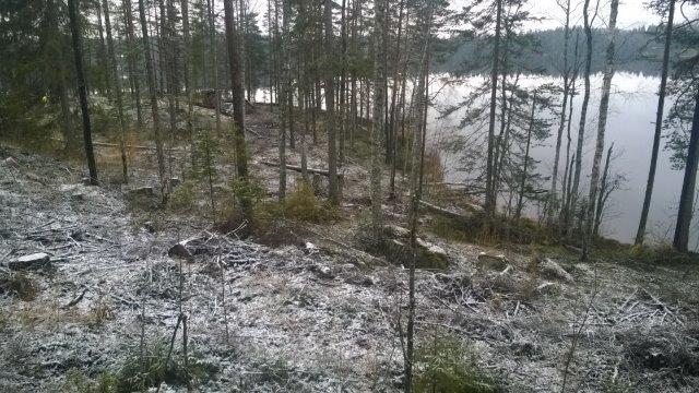 2 1.3 Nykyinen maankäyttö Kuoreveden Kuusjärvellä sijaitseva kaavamuutosalue on metsämaata, jolle on tehty harvennushakkuuta.