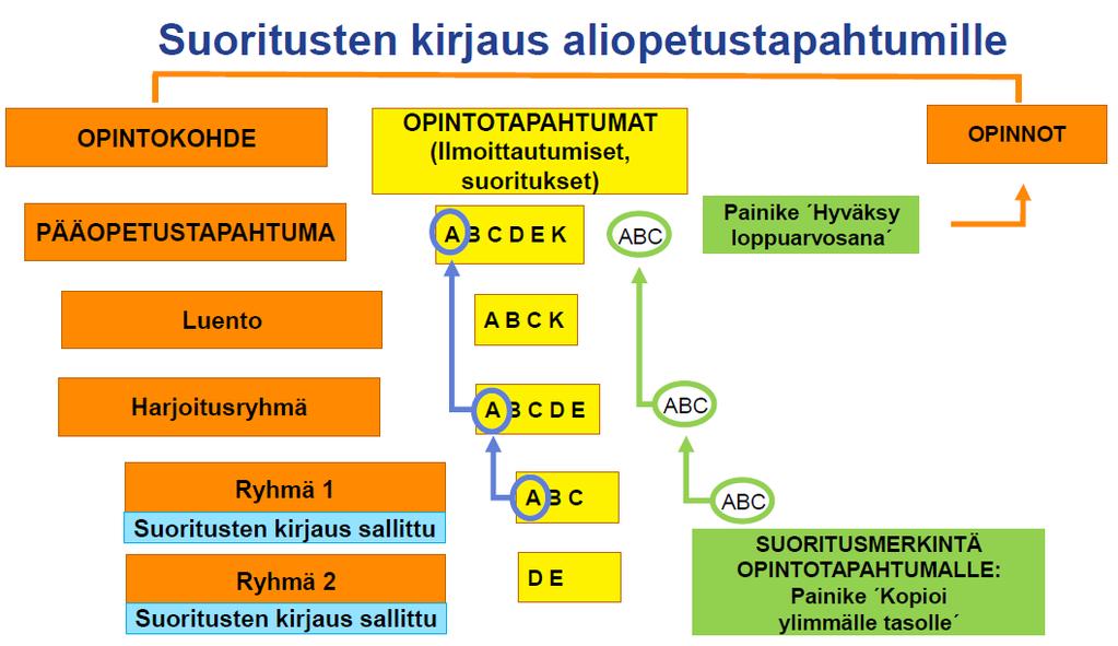 Aliopetustapahtumille ruksi Suoritusten kirj. sallittu WebOodissa : Siniset rengastukset ja nuolet kuvaavat opiskelijan tekemän ilmoittautumisen generoitumista hierarkiassa ylöspäin.