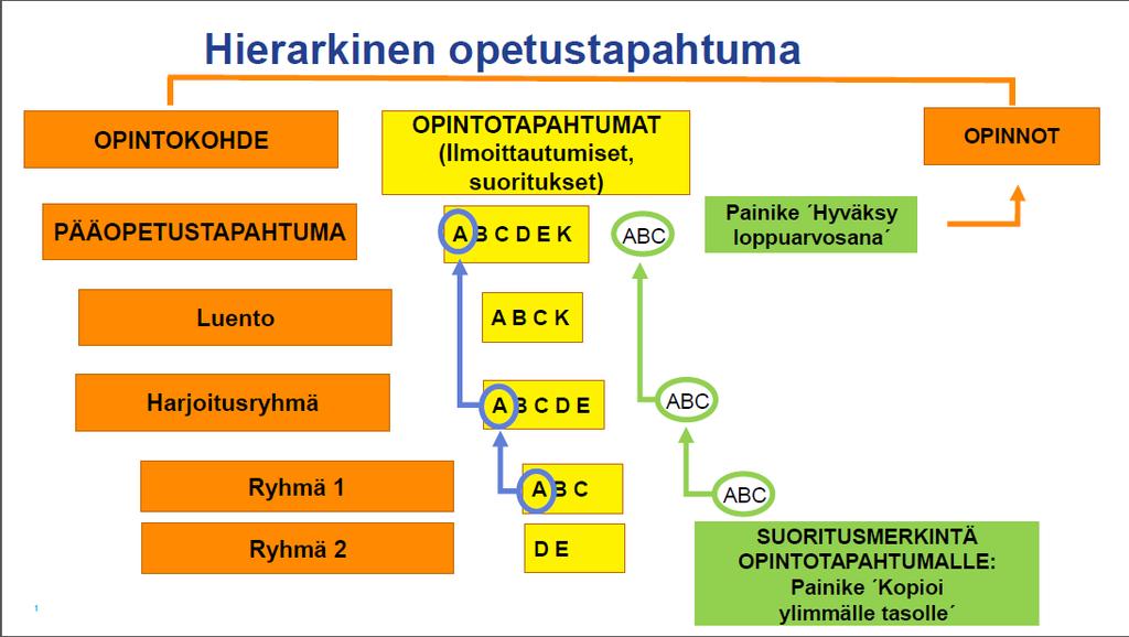 Hierarkkinen opetustapahtuma ja Opettaja kirjaa suoritukset. Uusi ohjeistus joulukuussa 2018. Terminologiaa: opintokohde, opetustapahtuma, opintotapahtuma ja opinto.