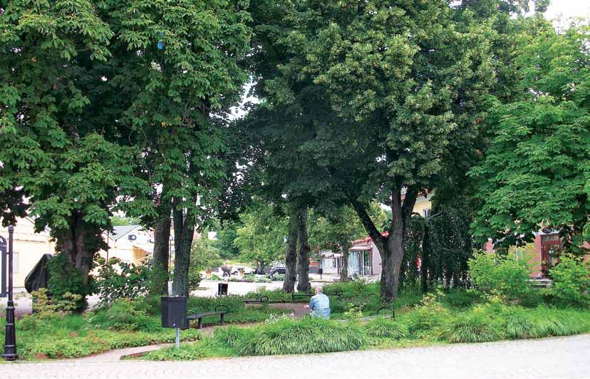 Vanhojen puiden alla huonosti menestyvä nurmi on korvattu perenna- ja pensasistutuksilla. Skolparken-puisto sijaitsee Trosan kaupungissa Ruotsissa.