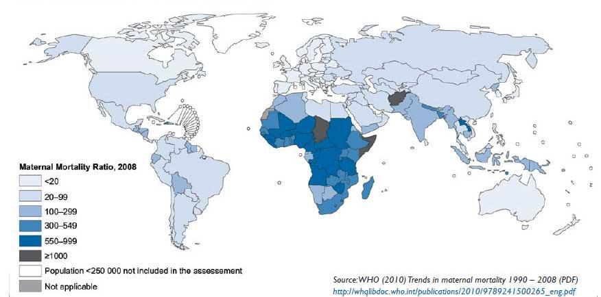 United Nations (2009) remarks that Eastern Asia, Northern Africa and South-Eastern Asia showed successful declines of 30 % or even more between 1990 and 2005.