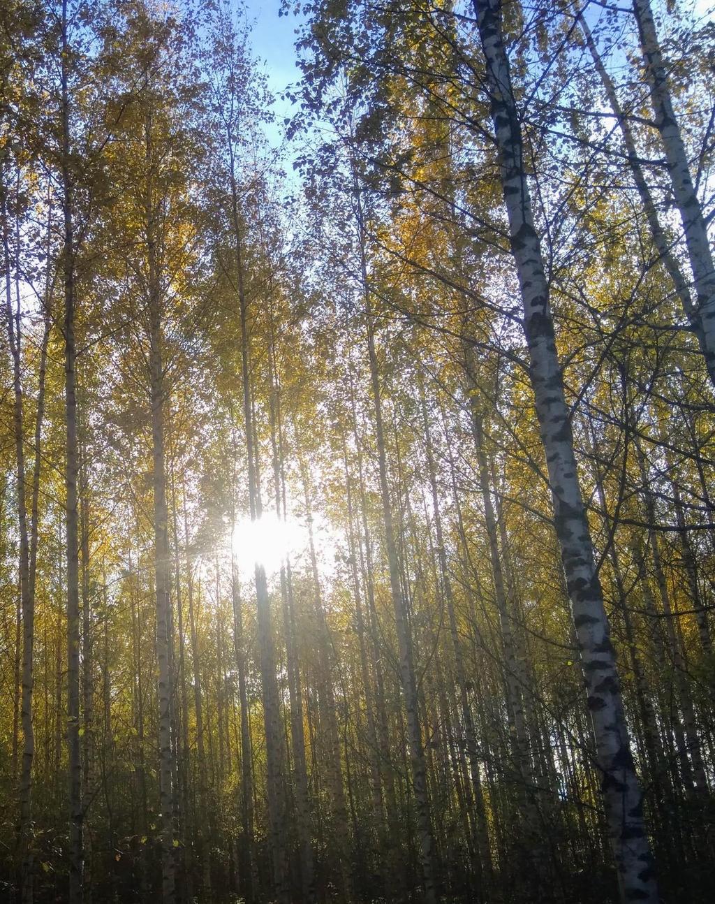 Henkisen huollon antama tuki on lähellä oloa, ahdistuksen