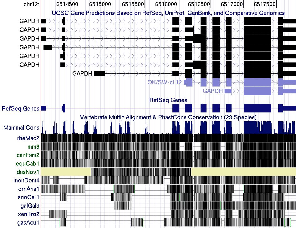 Genomics A Definition: The study of many possible DNA sequence properties in a specific genome or across related genomes.