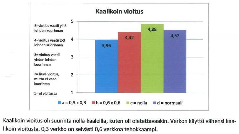 Kaalikoin