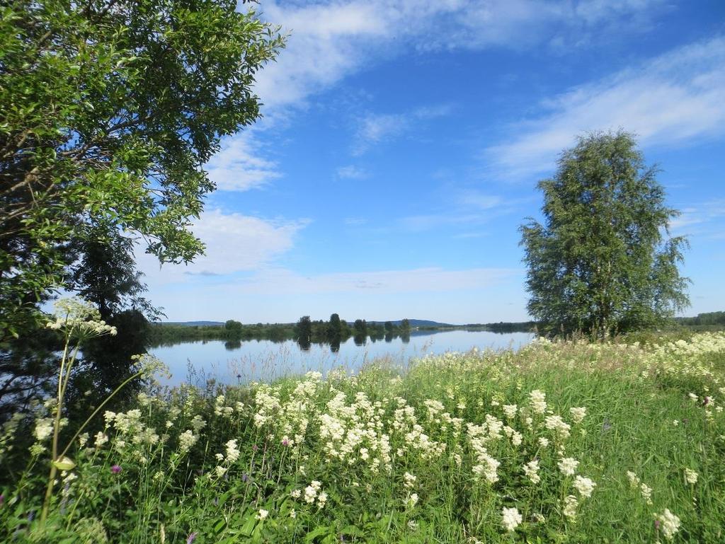 4 MAISEMAKUVA Maisemakuvaltaan suunnittelualue on kokonaisuudessaan laaksoa ja ranta-aluetta. Laakso kapenee pohjoista kohti, ja paikoitellen taustaselänteet ovat jyrkkiä vaaroja.