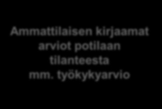 kirjaamat arviot potilaan tilanteesta mm.