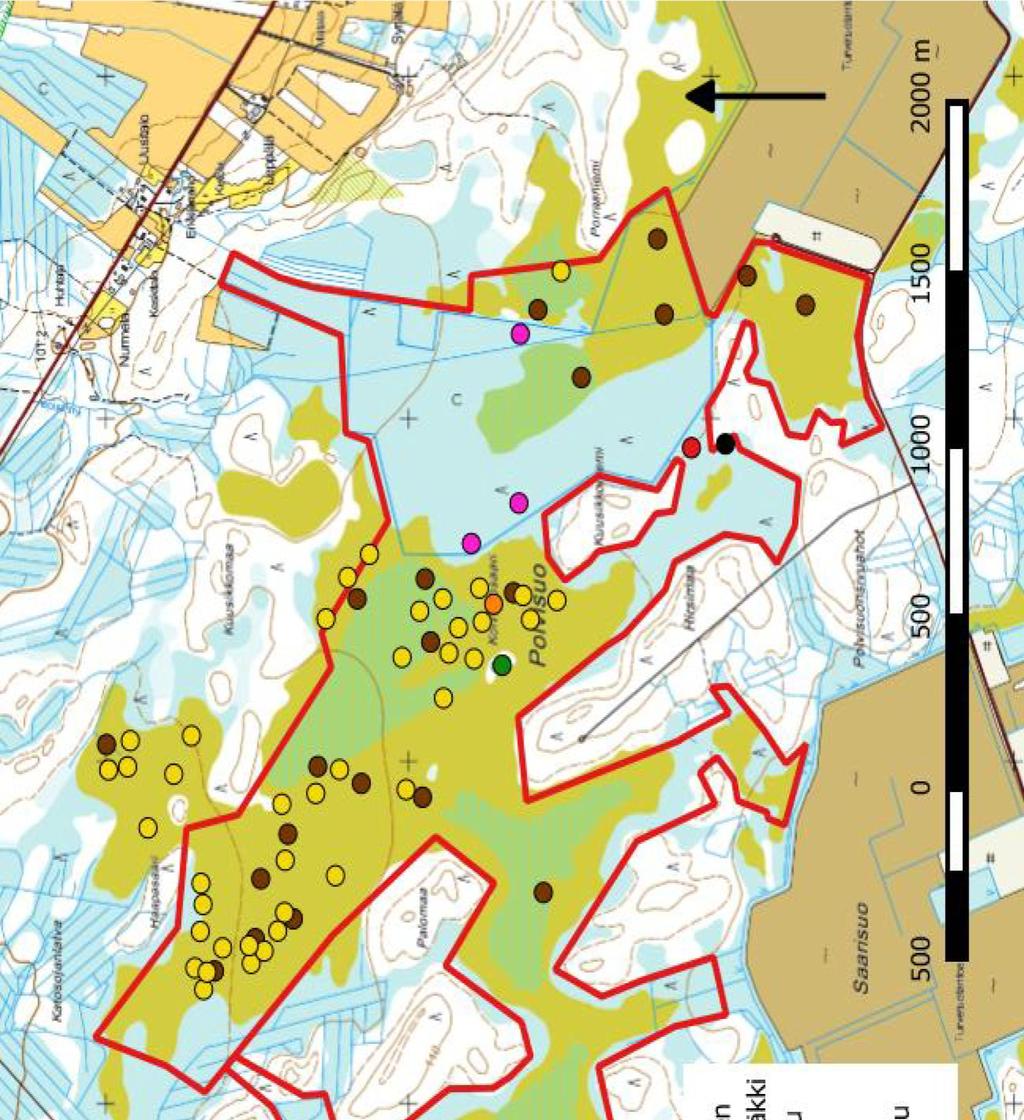 1.3.2016 7 (10) Kuva 5 Niittykirvisen, keltavästäräkin, pajusirkun,