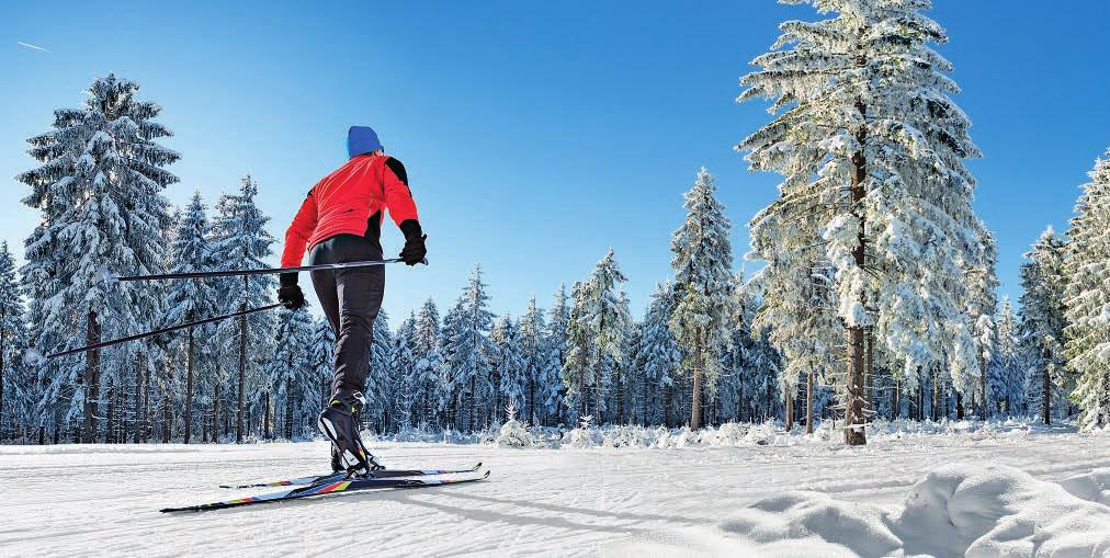 2 terveyskauppa uutiset Ruusujuuresta energiaa talven pimeyteen Ruusujuuri (Rhodiola rosea) on luonnonvaraisena viileillä alueilla kasvava kasvi, joka on ominaisuuksiensa vuoksi saanut lempinimen