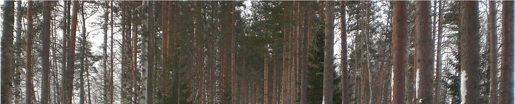 III-LUOKAN POHJAVESIALUEIDEN TARKISTAMINEN 12 