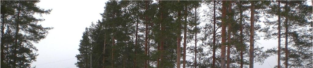 III-LUOKAN POHJAVESIALUEIDEN TARKISTAMINEN 15 Kuva 5.