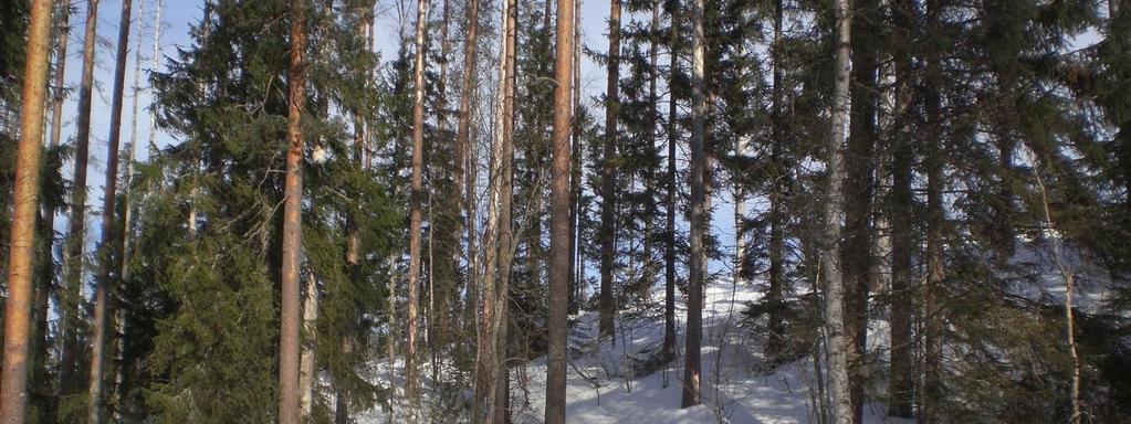 III-LUOKAN POHJAVESIALUEIDEN TARKISTAMINEN 18 Kivenmäenkankaan pohjavesialueen länsiosassa on tehty maaperäkairauksia (pisteet 27, 28, 46 ja 47) Punkaharjun haja-asutusalueiden pohjavesitutkimusten