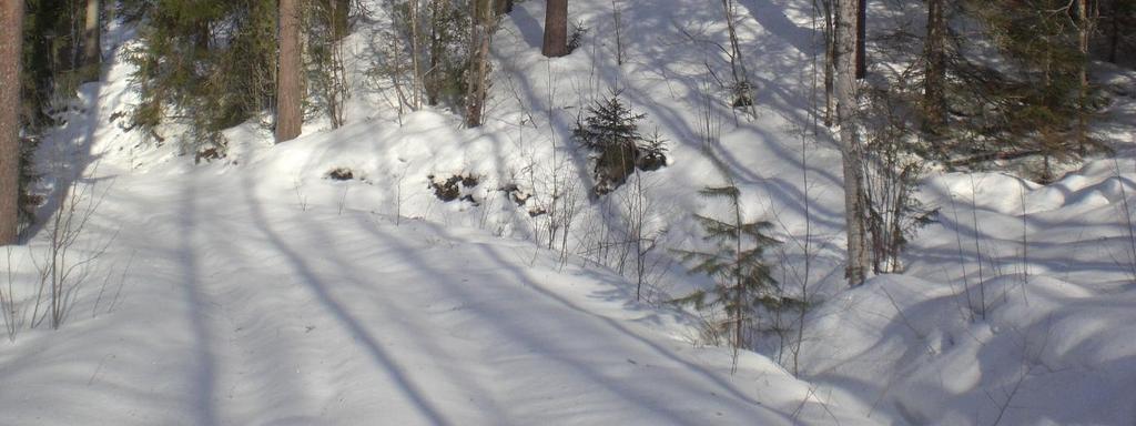 Haavistonlahden rannalla sijaitsevassa tutkimuspisteessä 47 maaperä on hiekkaa ja hienoa hiekkaa noin 9 metrin syvyyteen, josta alkaen maa-aines muuttuu siltiksi.