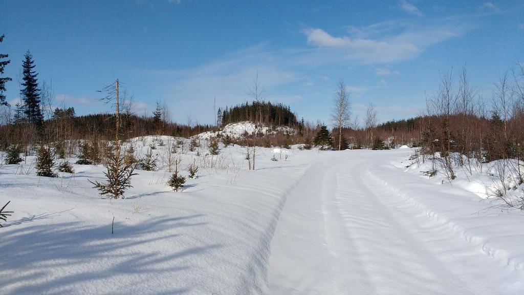 III-LUOKAN POHJAVESIALUEIDEN TARKISTAMINEN 20 Kuva 9. Kivenmäenkankaan aluetta tutkimuspisteen E0418 läheisyydessä. 4.5.