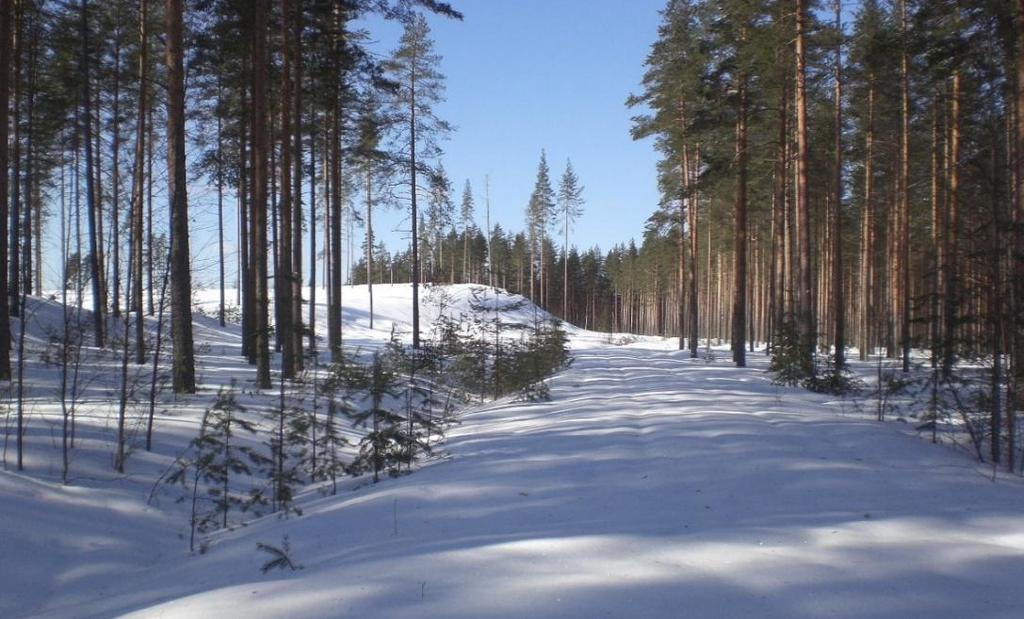 III-LUOKAN POHJAVESIALUEIDEN TARKISTAMINEN