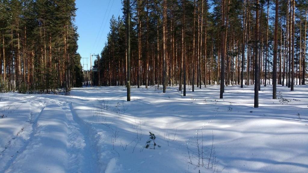 E2318 läheisyydessä, taustalla Pikarsuo.