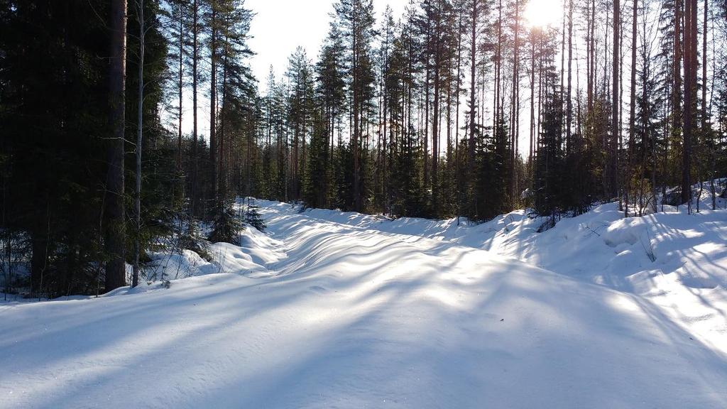 III-LUOKAN POHJAVESIALUEIDEN TARKISTAMINEN 24 Porokankaan pohjavesialueelle asennettiin havaintoputket E1918, E2018 ja E2118.