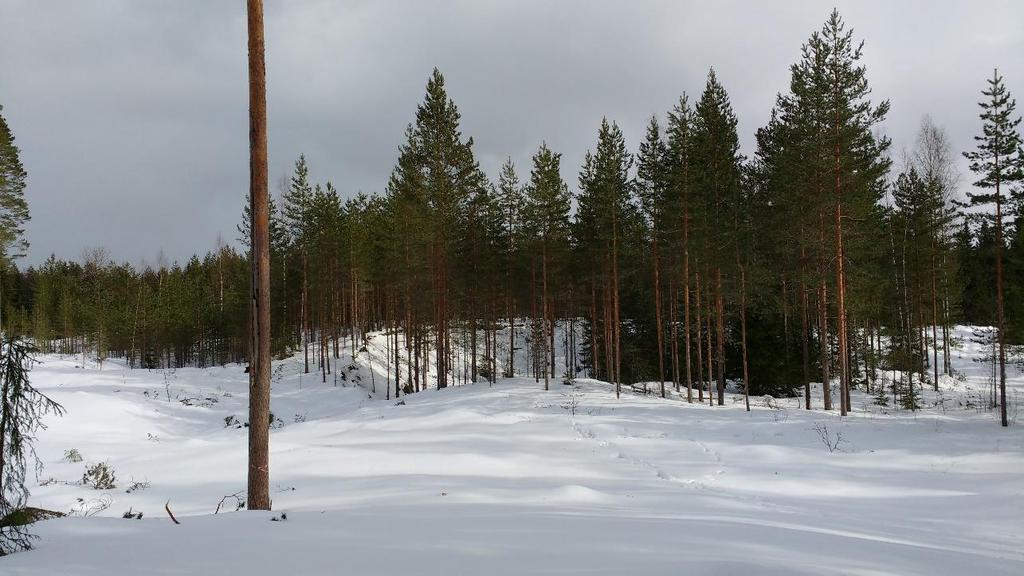 III-LUOKAN POHJAVESIALUEIDEN TARKISTAMINEN 39 4.