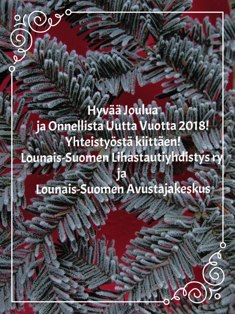 VAPAAEHTOISTOIMINTA Järjestösuunnittelija, tiimivastaava (Vapaaehtoiset muistiasiakkaille-projekti, vapaaehtoistoiminnan kehittäminen, ulkopuolinen koulutus) Kuu-Katjaana Salonen kuu-katjaana.