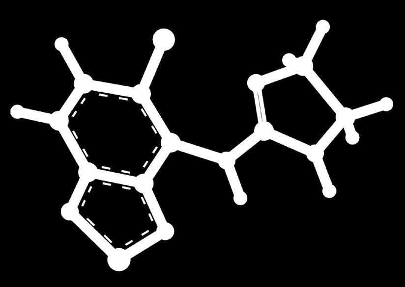 NMDAreseptori-EAA Polysynaptiset spinaalirefl:t.