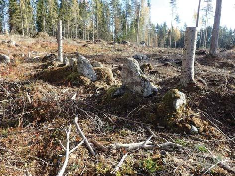 Kalalahden asemakaava, kaavaselostus, liite 4: Muinaisjäännösinventointi 12 Huomiot: Tiainen 2018: Pohjoisemman inventoidun kaava-alueen itäosasta, nykyisen tilusrajan kohdalta