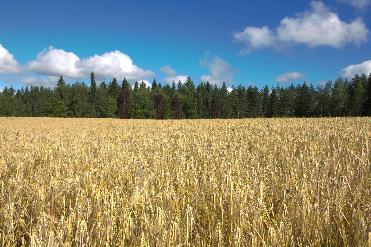 conditions. Ther is no salmonella because... The cold winter with its freezing temperatures reduces the amount of plant diseases and other pests.