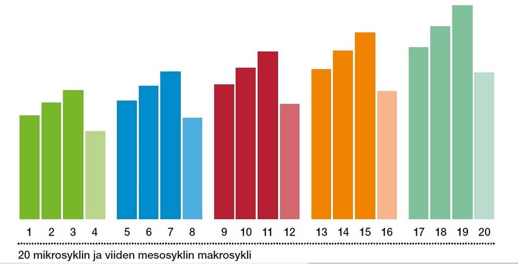 Harjoituskaudet Makrosykli = Koko harjoituskausi esimerkiksi seuraaviin kisoihin Mesosykli = muutaman viikon kestoinen harjoitusjakso Mikrosykli = Lyhin treenikierron osa, esim.