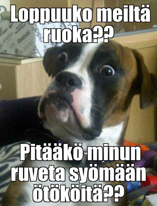 Esimerkki-meemi Päätöksentekovaiheen voisi myös toteuttaa tekemällä