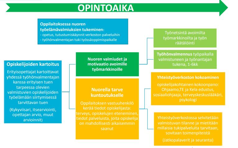 Työelämään ohjaus