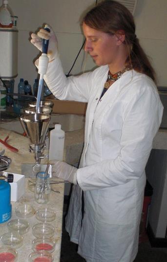 Why to research? (Wikimedia Commons) Any ideas?
