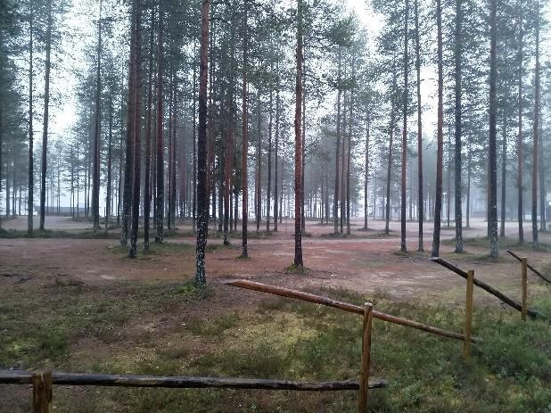 tiestöä. 3.