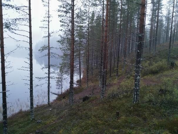 1 Osalliset Maanomistajat, asukkaat Viranomaiset Kunnan hallintokunnat -