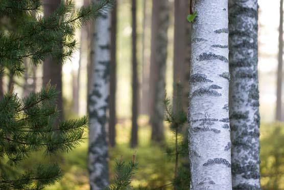 Huonolla resurssien hallinnalla on usein yhteys myös yhtiön tulokseen. Heikosti kannattava yhtiö ei kykene luomaan kasvua, eikä näin ollen myöskään työllistämään henkilöstöä.