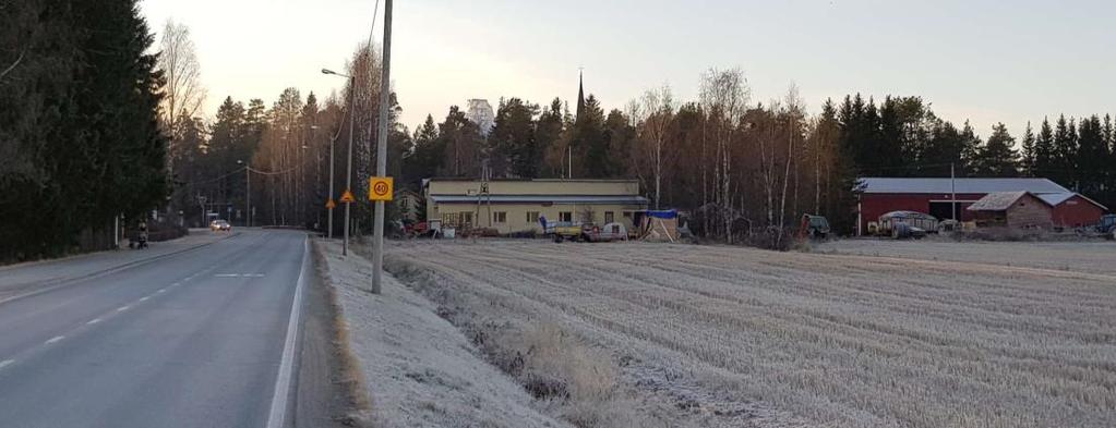 Koillisen suunnasta Piriläntielle näkyvät Pirilän kohdalla tietä rajaava kuusiaita