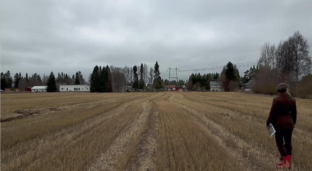 Vihiluodontien raitin ja peltoalueiden välisellä reunavyöhykkeellä avointa maisematilaa rajaavat paikoin kookas puusto, paikoin selänteen rinteillä sijaitsevat rakennukset.