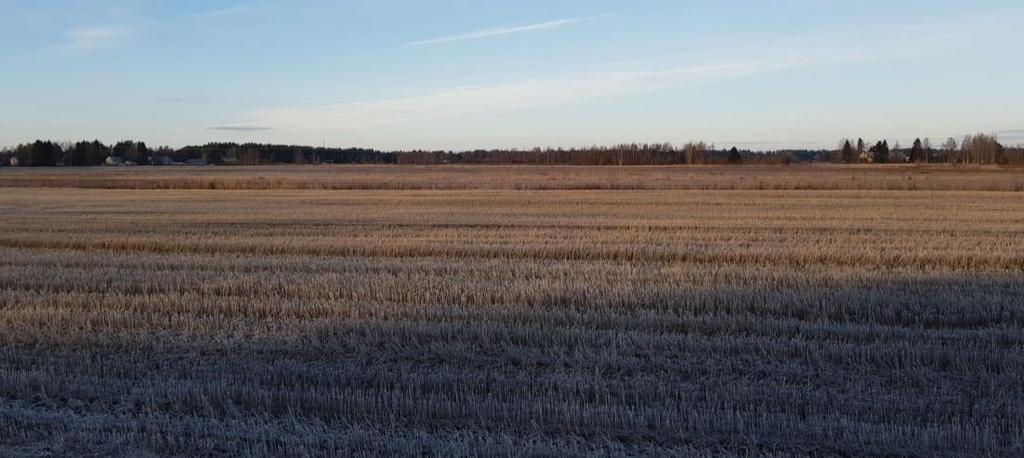 Matala kaakko-luodesuuntainen Kempeleenharju näkyy Piriläntieltä