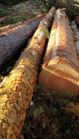 vastuullisempaan suuntaan. "Liukosellulinjamme pääasiakaskunta on tekstiiliteollisuus, jonka arvoketju on erittäin pitkä ja monimutkainen, ja sitä on moitittu läpinäkymättömäksi.