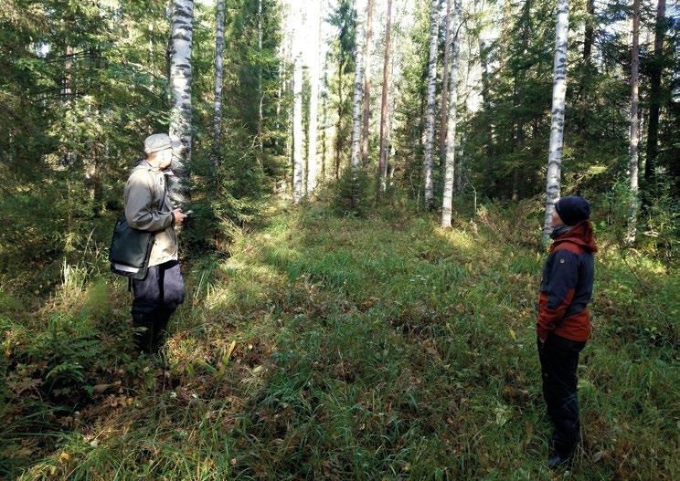 Selvityksen myötä Tornatorin tavoitteena on laajentaa turvemaiden metsien käsittelyn olemassa olevia menetelmiä niin, että kaikki kestävän metsätalouden näkökulmat pystytään ottamaan entistä paremmin
