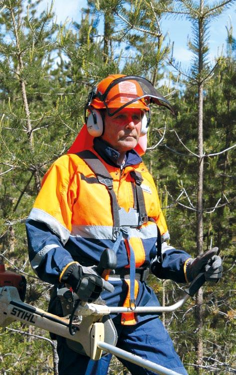 metsäammattilaisista.