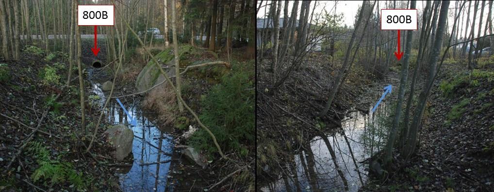 Tvyikulman itäosan valunta johtuu Myllypuronkadun alittavan rummun (800 B) kautta