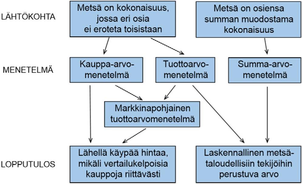 19 Metsäkiinteistöjen arviointi on yleisesti perustettu puuntuotannollisiin arvoihin (Paananen 2008).