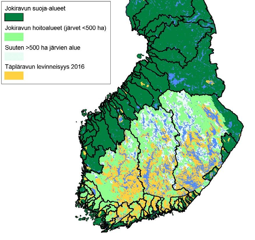 MAA- JA METSÄTALOUSMINISTERIÖN JULKAISUJA 2019:4 joissa jokiravulla on hyvät elinmahdollisuudet, mikäli ympäristöolot tai piilevän rapuruton esiintyminen eivät aseta esteitä.