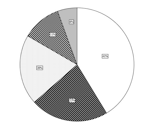 2/6 Olen usein huolestunut tai ahdistunut: 26 % on samaa mieltä 49 % on