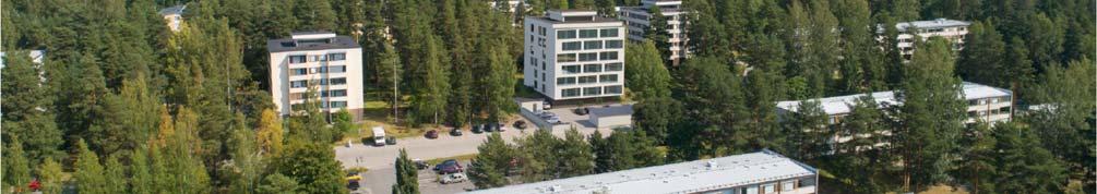 Havainnekuva tontinkäyttösuunnitelmasta 4.2.