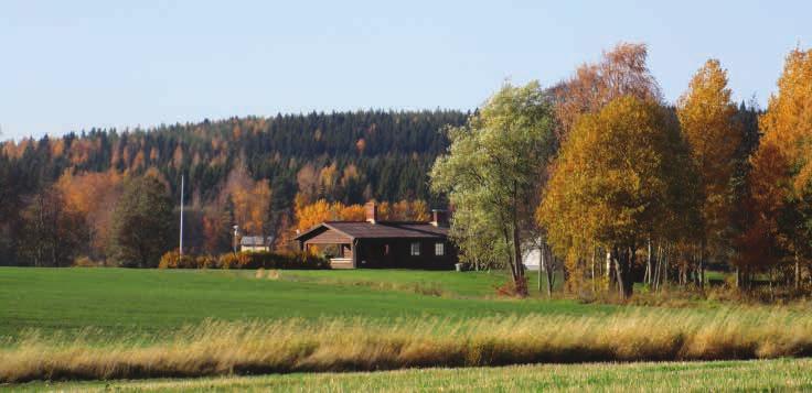 KUN LÄHEINEN SAIRASTUU Sairastuminen skitsofreniaan on kriisi sekä sairastuneelle että läheiselle. Kriisiksi sanotaan jotakin yllättävää, odottamatonta ja vaikeasti käsiteltävää tapahtumaa.