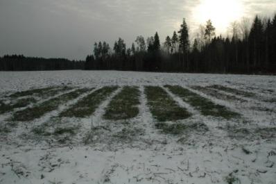 käytäntöön siirtämistä jatkoonkin!