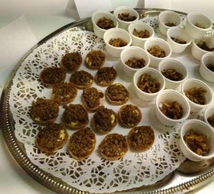 Hyönteisruokatuotteet Ensimmäinen sukupolvi kuivatuista sirkoista patukat suklaat napostelutuotteet