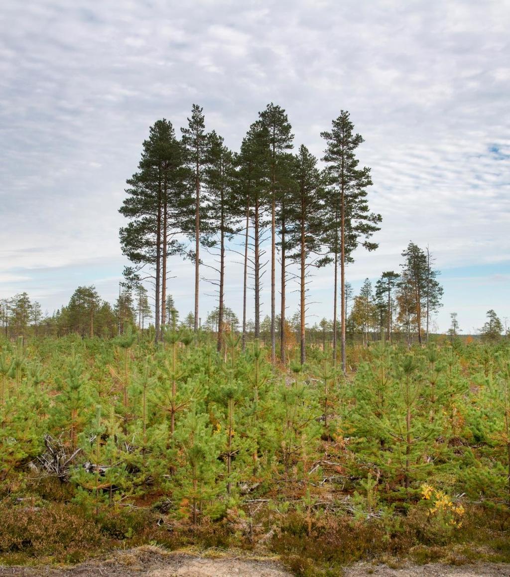 Kiertotalouden mallinnus Kiertotalouden mittaaminen voi olla haastavaa.