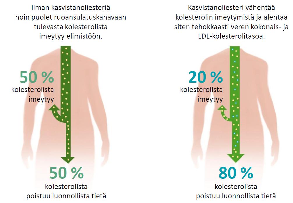 Benecol -tuotteiden kasvistanoliesteri