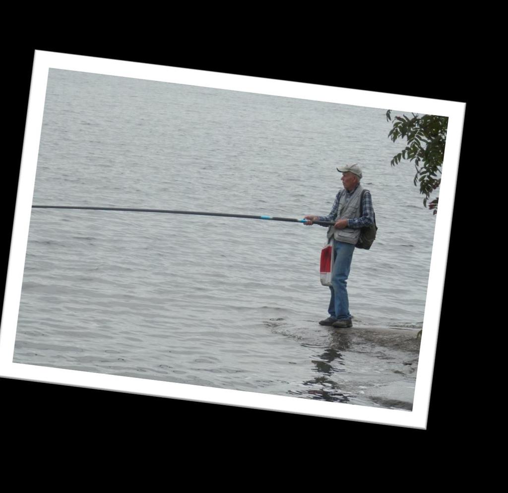 LATUALUEEN KEVÄTRETKI LINNANSAAREEN 25.5.2019 Linnansaaren kansallispuistossa olet saimaannorpan kotivesillä.